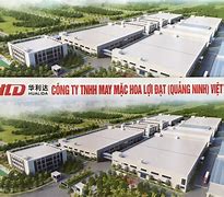 Công Ty Tnhh Quế Quảng Nam