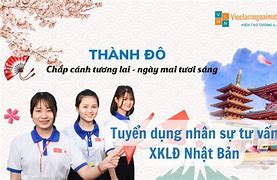 Cty Xkld Thabilabco Tuyển Dụng 2024 Mới Nhất Download