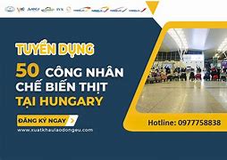 Cty Xkld Vov Tuyển Dụng 2024 Online Payment Center Malaysia