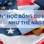 Du Học Hè Mỹ 2022 Là Gì Tại Sao Lại