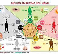 Khí Huyết Trong Cơ Thể