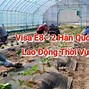 Xuất Khẩu Thời Vụ Hàn Quốc Visa E8